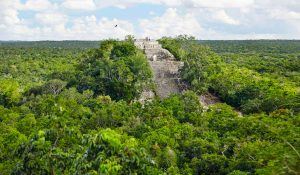 calakmul-campeche-mexique