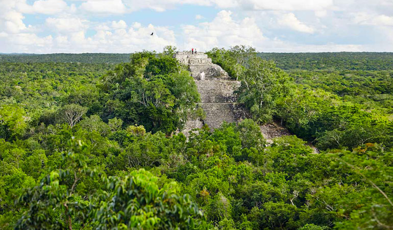 calakmul-campeche-mexique