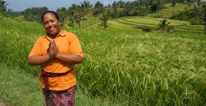 voyage-bali-excursion-riziere-jatiluwih-myasiantrip