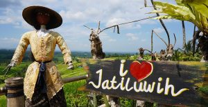 voyage-bali-excursion-riziere-jatiluwih-unesco