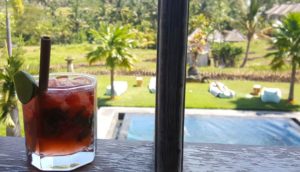 hotel-reve-ubud-B-Saya-Villas-cocktail-bienvenu