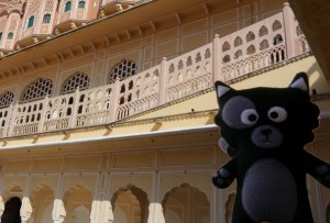 (02) Kiwi pose au palais des vents de Jaipur !          