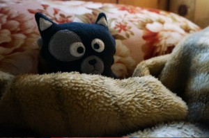 (05) Kiwi se réchauffe après une journée de trek dans le sac à dos ;)         