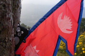 (04) Kiwi, fière d'être la nouvelle porte drapeau du Népal !         