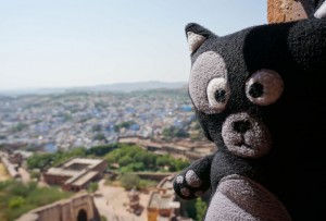 (03) Selfie de Kiwi en haut du fort de Jodhpur          