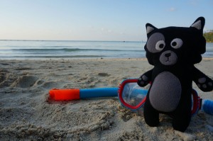 (032) Kiwi-thailande          