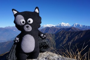 (07) Kiwi fraîchement réveillée par l'air pur des montagnes         