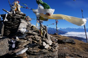 (09) Kiwi l'a fait ! 1er chat à monter à 4200 mètres d'altitude.         