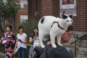 (045) chat-australie     