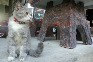 (033) chat-thailande         